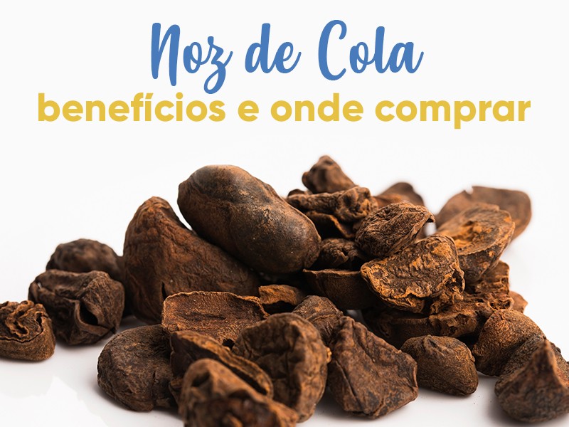 Noz de Cola: benefcios e onde comprar